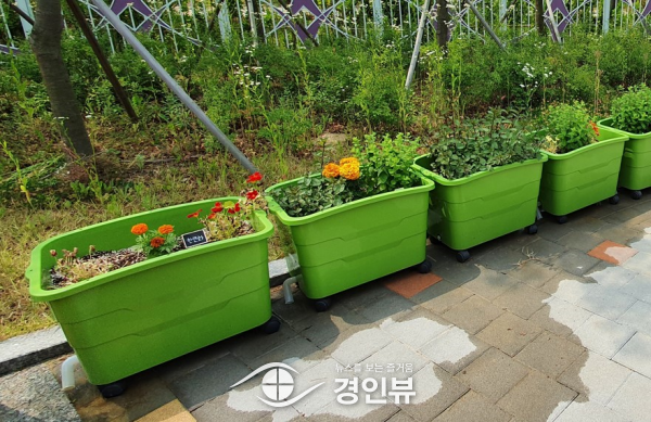 인천시, 상자텃밭 2,200세트 4.3일부터 선착순 분양