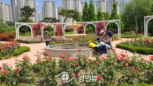 오산시 대표공원, 고인돌공원의‘장미뜨레’시민들 방문 기다려