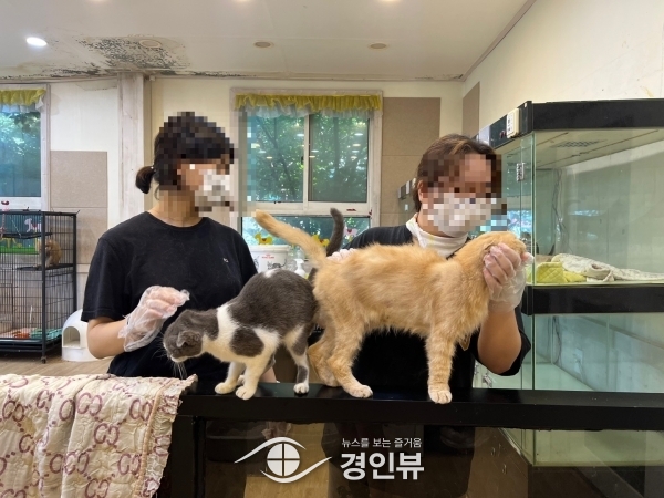 원평청소년문화의집, 유기동물 보호소 봉사 진행