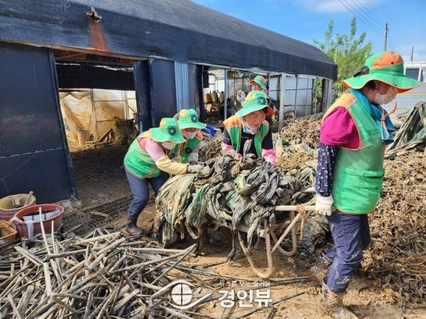 오산시 지역자율방재단, 오송읍 수해복구 자원봉사