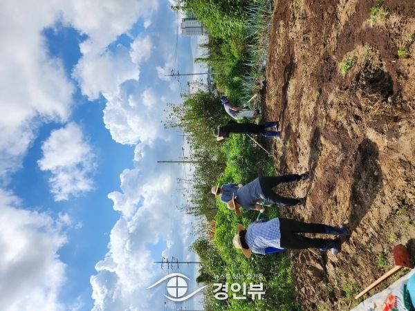 오산 초평동-초평동 지역사회보장협의체‘사랑의 김장행사’준비 착착