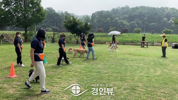 안성시청소년문화의집, 반려견 훈련사 활동 ‘나는 훈련사다’ 참가 청소년 모집