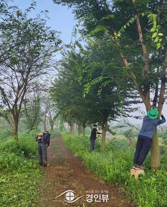 진위면 주민자치회 관방제림 2차 제초작업 솔선수범