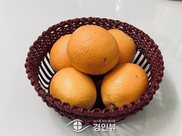 평택문화원, 한지공예, 에코페이퍼밴드 강좌 개설