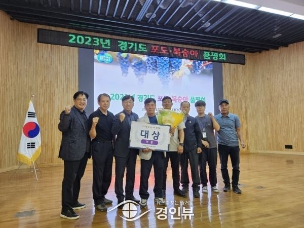 안성 포도, 경기도 포도·복숭아 품평회에서 대상 수상 등 우수한 성적 거둬