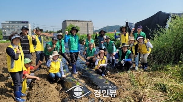초평동 주민자치회-새마을지도자협의회 ‘사랑의 배추 심기’행사