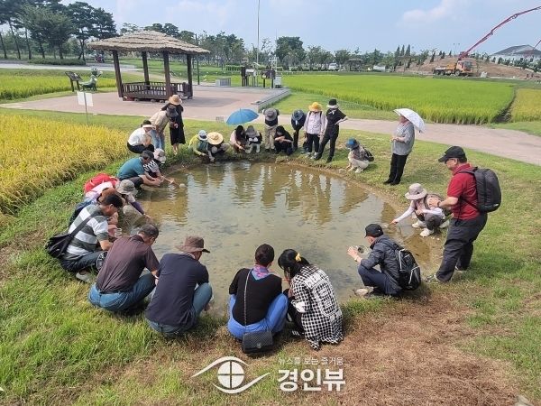평택시, 논에 사는 수서생물 체험 프로그램 한시적 운영