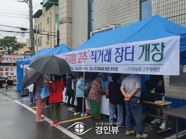 광주시 곤지암 고추연구회, 고품질 GAP고추 직거래 장터 운영