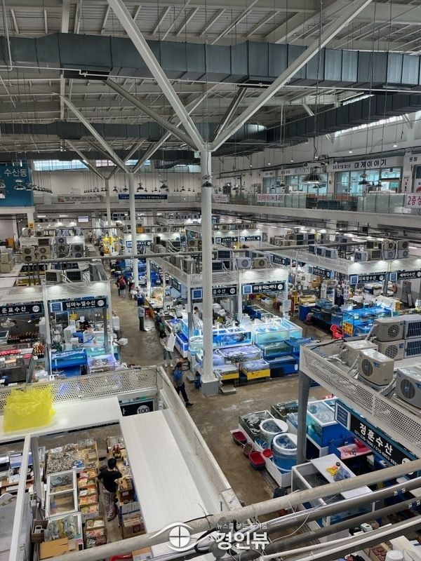 수원시 농수산물도매시장, 유통 수산물 방사능 안전성 검사… “안심하고 드셔도 된다”