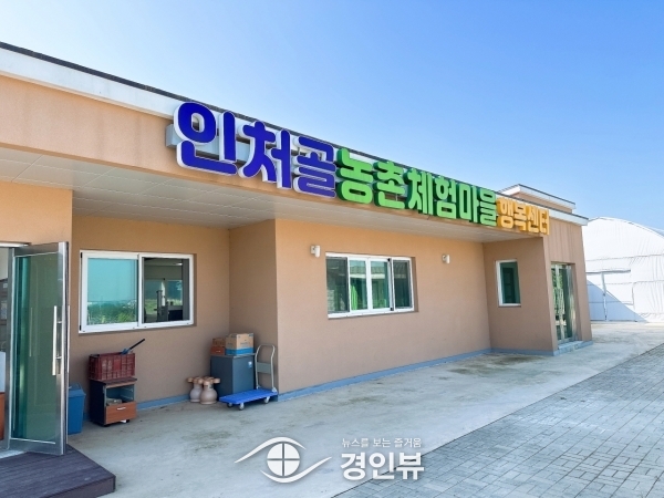 안성시 드림스타트, 주렁주렁 포도농장 체험 프로그램 진행