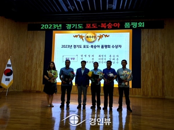 안산 대부 포도, 경기도 품평회서 최우수상 수상… 명성 지킬 것