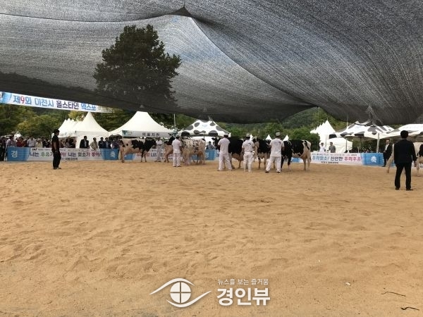 이천시, 제10회 이천시 홀스타인 품평회 개최